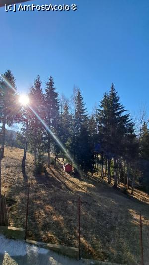 [P25]  -- <small>// FĂRĂ DESCRIERE</small> » foto by laura mihaela
 - 
<span class="allrVoted glyphicon glyphicon-heart hidden" id="av1523745"></span>
<a class="m-l-10 hidden" id="sv1523745" onclick="voting_Foto_DelVot(,1523745,6329)" role="button">șterge vot <span class="glyphicon glyphicon-remove"></span></a>
<a id="v91523745" class=" c-red"  onclick="voting_Foto_SetVot(1523745)" role="button"><span class="glyphicon glyphicon-heart-empty"></span> <b>LIKE</b> = Votează poza</a> <img class="hidden"  id="f1523745W9" src="/imagini/loader.gif" border="0" /><span class="AjErrMes hidden" id="e1523745ErM"></span>