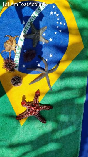 P12 [OCT-2021] am steag cu Brazilia. Pardon prosop! ;-)