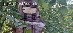 [P34] Marcaj turistic peste care a crescut arborele » foto by BristenaBrad
 - 
<span class="allrVoted glyphicon glyphicon-heart hidden" id="av1528322"></span>
<a class="m-l-10 hidden" id="sv1528322" onclick="voting_Foto_DelVot(,1528322,6443)" role="button">șterge vot <span class="glyphicon glyphicon-remove"></span></a>
<a id="v91528322" class=" c-red"  onclick="voting_Foto_SetVot(1528322)" role="button"><span class="glyphicon glyphicon-heart-empty"></span> <b>LIKE</b> = Votează poza</a> <img class="hidden"  id="f1528322W9" src="/imagini/loader.gif" border="0" /><span class="AjErrMes hidden" id="e1528322ErM"></span>