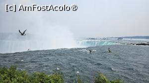 [P12] pe la cascada Niagara » foto by robert
 - 
<span class="allrVoted glyphicon glyphicon-heart hidden" id="av1544523"></span>
<a class="m-l-10 hidden" id="sv1544523" onclick="voting_Foto_DelVot(,1544523,6590)" role="button">șterge vot <span class="glyphicon glyphicon-remove"></span></a>
<a id="v91544523" class=" c-red"  onclick="voting_Foto_SetVot(1544523)" role="button"><span class="glyphicon glyphicon-heart-empty"></span> <b>LIKE</b> = Votează poza</a> <img class="hidden"  id="f1544523W9" src="/imagini/loader.gif" border="0" /><span class="AjErrMes hidden" id="e1544523ErM"></span>