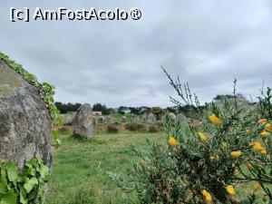 [P13] Menhiri la Carnac » foto by BristenaBrad
 - 
<span class="allrVoted glyphicon glyphicon-heart hidden" id="av1482031"></span>
<a class="m-l-10 hidden" id="sv1482031" onclick="voting_Foto_DelVot(,1482031,6625)" role="button">șterge vot <span class="glyphicon glyphicon-remove"></span></a>
<a id="v91482031" class=" c-red"  onclick="voting_Foto_SetVot(1482031)" role="button"><span class="glyphicon glyphicon-heart-empty"></span> <b>LIKE</b> = Votează poza</a> <img class="hidden"  id="f1482031W9" src="/imagini/loader.gif" border="0" /><span class="AjErrMes hidden" id="e1482031ErM"></span>