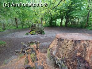 [P36] Mormântul vrăjitorului Merlin în pădurea Brocéliande » foto by BristenaBrad
 - 
<span class="allrVoted glyphicon glyphicon-heart hidden" id="av1482054"></span>
<a class="m-l-10 hidden" id="sv1482054" onclick="voting_Foto_DelVot(,1482054,6625)" role="button">șterge vot <span class="glyphicon glyphicon-remove"></span></a>
<a id="v91482054" class=" c-red"  onclick="voting_Foto_SetVot(1482054)" role="button"><span class="glyphicon glyphicon-heart-empty"></span> <b>LIKE</b> = Votează poza</a> <img class="hidden"  id="f1482054W9" src="/imagini/loader.gif" border="0" /><span class="AjErrMes hidden" id="e1482054ErM"></span>