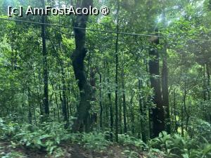 [P31] Prin pădurea Tijuca » foto by AZE
 - 
<span class="allrVoted glyphicon glyphicon-heart hidden" id="av1525160"></span>
<a class="m-l-10 hidden" id="sv1525160" onclick="voting_Foto_DelVot(,1525160,6730)" role="button">șterge vot <span class="glyphicon glyphicon-remove"></span></a>
<a id="v91525160" class=" c-red"  onclick="voting_Foto_SetVot(1525160)" role="button"><span class="glyphicon glyphicon-heart-empty"></span> <b>LIKE</b> = Votează poza</a> <img class="hidden"  id="f1525160W9" src="/imagini/loader.gif" border="0" /><span class="AjErrMes hidden" id="e1525160ErM"></span>