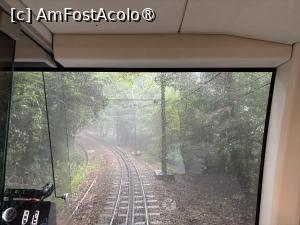 [P53] Coborând de pe Corcovado,între șinele normale în mijloc este cremaliera,o șină dințată ce ajută la tracțiune la pante mari » foto by AZE
 - 
<span class="allrVoted glyphicon glyphicon-heart hidden" id="av1525182"></span>
<a class="m-l-10 hidden" id="sv1525182" onclick="voting_Foto_DelVot(,1525182,6730)" role="button">șterge vot <span class="glyphicon glyphicon-remove"></span></a>
<a id="v91525182" class=" c-red"  onclick="voting_Foto_SetVot(1525182)" role="button"><span class="glyphicon glyphicon-heart-empty"></span> <b>LIKE</b> = Votează poza</a> <img class="hidden"  id="f1525182W9" src="/imagini/loader.gif" border="0" /><span class="AjErrMes hidden" id="e1525182ErM"></span>