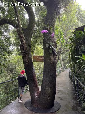 [P58] Mnigrădina botanică de pe munte » foto by AZE
 - 
<span class="allrVoted glyphicon glyphicon-heart hidden" id="av1525836"></span>
<a class="m-l-10 hidden" id="sv1525836" onclick="voting_Foto_DelVot(,1525836,6730)" role="button">șterge vot <span class="glyphicon glyphicon-remove"></span></a>
<a id="v91525836" class=" c-red"  onclick="voting_Foto_SetVot(1525836)" role="button"><span class="glyphicon glyphicon-heart-empty"></span> <b>LIKE</b> = Votează poza</a> <img class="hidden"  id="f1525836W9" src="/imagini/loader.gif" border="0" /><span class="AjErrMes hidden" id="e1525836ErM"></span>