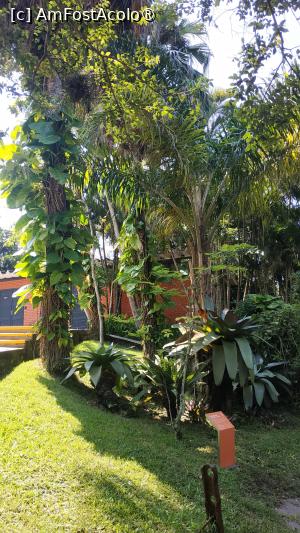 [P33] Rio de Janeiro - Sugarloaf Mountain » foto by elenaadina
 - 
<span class="allrVoted glyphicon glyphicon-heart hidden" id="av1517411"></span>
<a class="m-l-10 hidden" id="sv1517411" onclick="voting_Foto_DelVot(,1517411,6730)" role="button">șterge vot <span class="glyphicon glyphicon-remove"></span></a>
<a id="v91517411" class=" c-red"  onclick="voting_Foto_SetVot(1517411)" role="button"><span class="glyphicon glyphicon-heart-empty"></span> <b>LIKE</b> = Votează poza</a> <img class="hidden"  id="f1517411W9" src="/imagini/loader.gif" border="0" /><span class="AjErrMes hidden" id="e1517411ErM"></span>