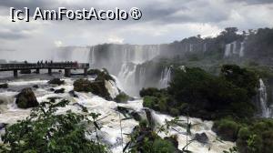 [P26]  -- <small>// FĂRĂ DESCRIERE</small> » foto by elenaadina
 - 
<span class="allrVoted glyphicon glyphicon-heart hidden" id="av1517673"></span>
<a class="m-l-10 hidden" id="sv1517673" onclick="voting_Foto_DelVot(,1517673,6751)" role="button">șterge vot <span class="glyphicon glyphicon-remove"></span></a>
<a id="v91517673" class=" c-red"  onclick="voting_Foto_SetVot(1517673)" role="button"><span class="glyphicon glyphicon-heart-empty"></span> <b>LIKE</b> = Votează poza</a> <img class="hidden"  id="f1517673W9" src="/imagini/loader.gif" border="0" /><span class="AjErrMes hidden" id="e1517673ErM"></span>