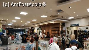 [P08] Cascada Iguacu Brazilia » foto by elenaadina
 - 
<span class="allrVoted glyphicon glyphicon-heart hidden" id="av1517655"></span>
<a class="m-l-10 hidden" id="sv1517655" onclick="voting_Foto_DelVot(,1517655,6751)" role="button">șterge vot <span class="glyphicon glyphicon-remove"></span></a>
<a id="v91517655" class=" c-red"  onclick="voting_Foto_SetVot(1517655)" role="button"><span class="glyphicon glyphicon-heart-empty"></span> <b>LIKE</b> = Votează poza</a> <img class="hidden"  id="f1517655W9" src="/imagini/loader.gif" border="0" /><span class="AjErrMes hidden" id="e1517655ErM"></span>