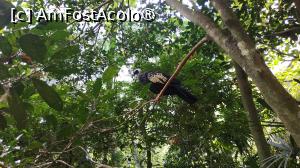 [P17]  -- <small>// FĂRĂ DESCRIERE</small> » foto by elenaadina
 - 
<span class="allrVoted glyphicon glyphicon-heart hidden" id="av1517880"></span>
<a class="m-l-10 hidden" id="sv1517880" onclick="voting_Foto_DelVot(,1517880,6751)" role="button">șterge vot <span class="glyphicon glyphicon-remove"></span></a>
<a id="v91517880" class=" c-red"  onclick="voting_Foto_SetVot(1517880)" role="button"><span class="glyphicon glyphicon-heart-empty"></span> <b>LIKE</b> = Votează poza</a> <img class="hidden"  id="f1517880W9" src="/imagini/loader.gif" border="0" /><span class="AjErrMes hidden" id="e1517880ErM"></span>