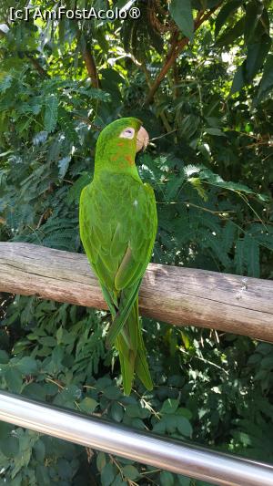 [P33]  -- <small>// FĂRĂ DESCRIERE</small> » foto by elenaadina
 - 
<span class="allrVoted glyphicon glyphicon-heart hidden" id="av1517896"></span>
<a class="m-l-10 hidden" id="sv1517896" onclick="voting_Foto_DelVot(,1517896,6751)" role="button">șterge vot <span class="glyphicon glyphicon-remove"></span></a>
<a id="v91517896" class=" c-red"  onclick="voting_Foto_SetVot(1517896)" role="button"><span class="glyphicon glyphicon-heart-empty"></span> <b>LIKE</b> = Votează poza</a> <img class="hidden"  id="f1517896W9" src="/imagini/loader.gif" border="0" /><span class="AjErrMes hidden" id="e1517896ErM"></span>