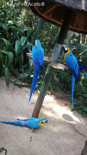 [P43]  -- <small>// FĂRĂ DESCRIERE</small> » foto by elenaadina
 - 
<span class="allrVoted glyphicon glyphicon-heart hidden" id="av1517906"></span>
<a class="m-l-10 hidden" id="sv1517906" onclick="voting_Foto_DelVot(,1517906,6751)" role="button">șterge vot <span class="glyphicon glyphicon-remove"></span></a>
<a id="v91517906" class=" c-red"  onclick="voting_Foto_SetVot(1517906)" role="button"><span class="glyphicon glyphicon-heart-empty"></span> <b>LIKE</b> = Votează poza</a> <img class="hidden"  id="f1517906W9" src="/imagini/loader.gif" border="0" /><span class="AjErrMes hidden" id="e1517906ErM"></span>