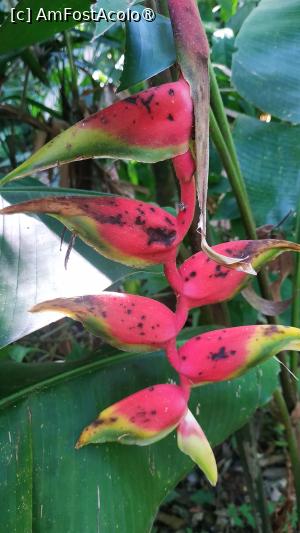 [P48]  -- <small>// FĂRĂ DESCRIERE</small> » foto by elenaadina
 - 
<span class="allrVoted glyphicon glyphicon-heart hidden" id="av1517911"></span>
<a class="m-l-10 hidden" id="sv1517911" onclick="voting_Foto_DelVot(,1517911,6751)" role="button">șterge vot <span class="glyphicon glyphicon-remove"></span></a>
<a id="v91517911" class=" c-red"  onclick="voting_Foto_SetVot(1517911)" role="button"><span class="glyphicon glyphicon-heart-empty"></span> <b>LIKE</b> = Votează poza</a> <img class="hidden"  id="f1517911W9" src="/imagini/loader.gif" border="0" /><span class="AjErrMes hidden" id="e1517911ErM"></span>