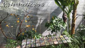 [P49]  -- <small>// FĂRĂ DESCRIERE</small> » foto by elenaadina
 - 
<span class="allrVoted glyphicon glyphicon-heart hidden" id="av1517912"></span>
<a class="m-l-10 hidden" id="sv1517912" onclick="voting_Foto_DelVot(,1517912,6751)" role="button">șterge vot <span class="glyphicon glyphicon-remove"></span></a>
<a id="v91517912" class=" c-red"  onclick="voting_Foto_SetVot(1517912)" role="button"><span class="glyphicon glyphicon-heart-empty"></span> <b>LIKE</b> = Votează poza</a> <img class="hidden"  id="f1517912W9" src="/imagini/loader.gif" border="0" /><span class="AjErrMes hidden" id="e1517912ErM"></span>