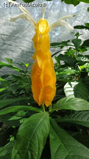 [P51]  -- <small>// FĂRĂ DESCRIERE</small> » foto by elenaadina
 - 
<span class="allrVoted glyphicon glyphicon-heart hidden" id="av1517914"></span>
<a class="m-l-10 hidden" id="sv1517914" onclick="voting_Foto_DelVot(,1517914,6751)" role="button">șterge vot <span class="glyphicon glyphicon-remove"></span></a>
<a id="v91517914" class=" c-red"  onclick="voting_Foto_SetVot(1517914)" role="button"><span class="glyphicon glyphicon-heart-empty"></span> <b>LIKE</b> = Votează poza</a> <img class="hidden"  id="f1517914W9" src="/imagini/loader.gif" border="0" /><span class="AjErrMes hidden" id="e1517914ErM"></span>