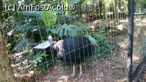 [P53]  -- <small>// FĂRĂ DESCRIERE</small> » foto by elenaadina
 - 
<span class="allrVoted glyphicon glyphicon-heart hidden" id="av1517916"></span>
<a class="m-l-10 hidden" id="sv1517916" onclick="voting_Foto_DelVot(,1517916,6751)" role="button">șterge vot <span class="glyphicon glyphicon-remove"></span></a>
<a id="v91517916" class=" c-red"  onclick="voting_Foto_SetVot(1517916)" role="button"><span class="glyphicon glyphicon-heart-empty"></span> <b>LIKE</b> = Votează poza</a> <img class="hidden"  id="f1517916W9" src="/imagini/loader.gif" border="0" /><span class="AjErrMes hidden" id="e1517916ErM"></span>