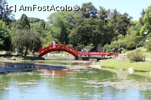 [P66] Buenos Aires, Jardín Japonés, Iconicul pod curbat, mi-am adus aminte de Nikko... sau de Grădina Korakuen din Tokyo » foto by mprofeanu
 - 
<span class="allrVoted glyphicon glyphicon-heart hidden" id="av1162761"></span>
<a class="m-l-10 hidden" id="sv1162761" onclick="voting_Foto_DelVot(,1162761,6764)" role="button">șterge vot <span class="glyphicon glyphicon-remove"></span></a>
<a id="v91162761" class=" c-red"  onclick="voting_Foto_SetVot(1162761)" role="button"><span class="glyphicon glyphicon-heart-empty"></span> <b>LIKE</b> = Votează poza</a> <img class="hidden"  id="f1162761W9" src="/imagini/loader.gif" border="0" /><span class="AjErrMes hidden" id="e1162761ErM"></span>