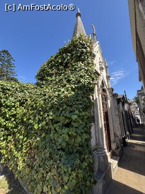 [P20] Cimitirul Recoleta » foto by AZE
 - 
<span class="allrVoted glyphicon glyphicon-heart hidden" id="av1533614"></span>
<a class="m-l-10 hidden" id="sv1533614" onclick="voting_Foto_DelVot(,1533614,6764)" role="button">șterge vot <span class="glyphicon glyphicon-remove"></span></a>
<a id="v91533614" class=" c-red"  onclick="voting_Foto_SetVot(1533614)" role="button"><span class="glyphicon glyphicon-heart-empty"></span> <b>LIKE</b> = Votează poza</a> <img class="hidden"  id="f1533614W9" src="/imagini/loader.gif" border="0" /><span class="AjErrMes hidden" id="e1533614ErM"></span>