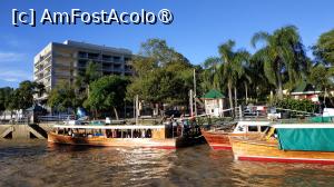 [P31]  -- <small>// FĂRĂ DESCRIERE</small> » foto by elenaadina
 - 
<span class="allrVoted glyphicon glyphicon-heart hidden" id="av1518982"></span>
<a class="m-l-10 hidden" id="sv1518982" onclick="voting_Foto_DelVot(,1518982,6764)" role="button">șterge vot <span class="glyphicon glyphicon-remove"></span></a>
<a id="v91518982" class=" c-red"  onclick="voting_Foto_SetVot(1518982)" role="button"><span class="glyphicon glyphicon-heart-empty"></span> <b>LIKE</b> = Votează poza</a> <img class="hidden"  id="f1518982W9" src="/imagini/loader.gif" border="0" /><span class="AjErrMes hidden" id="e1518982ErM"></span>