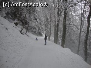 [P06] Săniuța alunecă spre schitul Sfânta Ana. Să sperăm că toți urșii din zonă hibernează zilele astea! :)  » foto by Floryn81
 - 
<span class="allrVoted glyphicon glyphicon-heart hidden" id="av935914"></span>
<a class="m-l-10 hidden" id="sv935914" onclick="voting_Foto_DelVot(,935914,6777)" role="button">șterge vot <span class="glyphicon glyphicon-remove"></span></a>
<a id="v9935914" class=" c-red"  onclick="voting_Foto_SetVot(935914)" role="button"><span class="glyphicon glyphicon-heart-empty"></span> <b>LIKE</b> = Votează poza</a> <img class="hidden"  id="f935914W9" src="/imagini/loader.gif" border="0" /><span class="AjErrMes hidden" id="e935914ErM"></span>