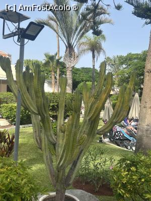 [P01] prin gradina hotelului » foto by indiralisa_26
 - 
<span class="allrVoted glyphicon glyphicon-heart hidden" id="av1504774"></span>
<a class="m-l-10 hidden" id="sv1504774" onclick="voting_Foto_DelVot(,1504774,6800)" role="button">șterge vot <span class="glyphicon glyphicon-remove"></span></a>
<a id="v91504774" class=" c-red"  onclick="voting_Foto_SetVot(1504774)" role="button"><span class="glyphicon glyphicon-heart-empty"></span> <b>LIKE</b> = Votează poza</a> <img class="hidden"  id="f1504774W9" src="/imagini/loader.gif" border="0" /><span class="AjErrMes hidden" id="e1504774ErM"></span>