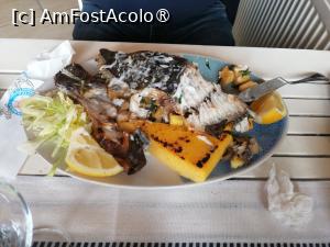 [P02] Calcan de Marea Neagră » foto by mmierla
 - 
<span class="allrVoted glyphicon glyphicon-heart hidden" id="av1523237"></span>
<a class="m-l-10 hidden" id="sv1523237" onclick="voting_Foto_DelVot(,1523237,6877)" role="button">șterge vot <span class="glyphicon glyphicon-remove"></span></a>
<a id="v91523237" class=" c-red"  onclick="voting_Foto_SetVot(1523237)" role="button"><span class="glyphicon glyphicon-heart-empty"></span> <b>LIKE</b> = Votează poza</a> <img class="hidden"  id="f1523237W9" src="/imagini/loader.gif" border="0" /><span class="AjErrMes hidden" id="e1523237ErM"></span>