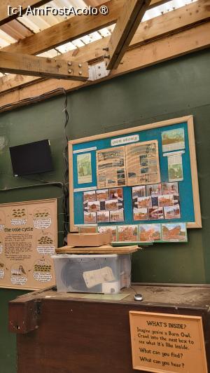 [P88] Scottish Owl Centre - jocuri interactive si quizuri » foto by k-lator
 - 
<span class="allrVoted glyphicon glyphicon-heart hidden" id="av1501671"></span>
<a class="m-l-10 hidden" id="sv1501671" onclick="voting_Foto_DelVot(,1501671,6898)" role="button">șterge vot <span class="glyphicon glyphicon-remove"></span></a>
<a id="v91501671" class=" c-red"  onclick="voting_Foto_SetVot(1501671)" role="button"><span class="glyphicon glyphicon-heart-empty"></span> <b>LIKE</b> = Votează poza</a> <img class="hidden"  id="f1501671W9" src="/imagini/loader.gif" border="0" /><span class="AjErrMes hidden" id="e1501671ErM"></span>