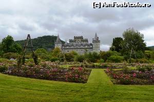 [P42] Castelul Inveraray - grădini » foto by makuy*
 - 
<span class="allrVoted glyphicon glyphicon-heart hidden" id="av656114"></span>
<a class="m-l-10 hidden" id="sv656114" onclick="voting_Foto_DelVot(,656114,6898)" role="button">șterge vot <span class="glyphicon glyphicon-remove"></span></a>
<a id="v9656114" class=" c-red"  onclick="voting_Foto_SetVot(656114)" role="button"><span class="glyphicon glyphicon-heart-empty"></span> <b>LIKE</b> = Votează poza</a> <img class="hidden"  id="f656114W9" src="/imagini/loader.gif" border="0" /><span class="AjErrMes hidden" id="e656114ErM"></span>