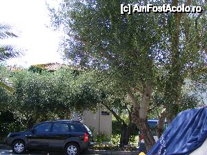 [P16] Alee si bungalow » foto by cossty
 - 
<span class="allrVoted glyphicon glyphicon-heart hidden" id="av460865"></span>
<a class="m-l-10 hidden" id="sv460865" onclick="voting_Foto_DelVot(,460865,6960)" role="button">șterge vot <span class="glyphicon glyphicon-remove"></span></a>
<a id="v9460865" class=" c-red"  onclick="voting_Foto_SetVot(460865)" role="button"><span class="glyphicon glyphicon-heart-empty"></span> <b>LIKE</b> = Votează poza</a> <img class="hidden"  id="f460865W9" src="/imagini/loader.gif" border="0" /><span class="AjErrMes hidden" id="e460865ErM"></span>