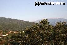 [P08] balcon » foto by smenica
 - 
<span class="allrVoted glyphicon glyphicon-heart hidden" id="av437531"></span>
<a class="m-l-10 hidden" id="sv437531" onclick="voting_Foto_DelVot(,437531,6960)" role="button">șterge vot <span class="glyphicon glyphicon-remove"></span></a>
<a id="v9437531" class=" c-red"  onclick="voting_Foto_SetVot(437531)" role="button"><span class="glyphicon glyphicon-heart-empty"></span> <b>LIKE</b> = Votează poza</a> <img class="hidden"  id="f437531W9" src="/imagini/loader.gif" border="0" /><span class="AjErrMes hidden" id="e437531ErM"></span>