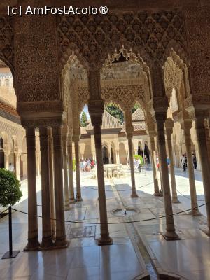 [P33] Alhambra - Palatul Nazrid- spre Curtea cu lei » foto by ANILU
 - 
<span class="allrVoted glyphicon glyphicon-heart hidden" id="av1488863"></span>
<a class="m-l-10 hidden" id="sv1488863" onclick="voting_Foto_DelVot(,1488863,7020)" role="button">șterge vot <span class="glyphicon glyphicon-remove"></span></a>
<a id="v91488863" class=" c-red"  onclick="voting_Foto_SetVot(1488863)" role="button"><span class="glyphicon glyphicon-heart-empty"></span> <b>LIKE</b> = Votează poza</a> <img class="hidden"  id="f1488863W9" src="/imagini/loader.gif" border="0" /><span class="AjErrMes hidden" id="e1488863ErM"></span>