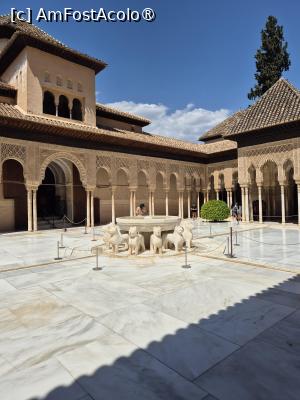 [P34] Alhambra - Palatul Nazrid - Curtea cu lei » foto by ANILU
 - 
<span class="allrVoted glyphicon glyphicon-heart hidden" id="av1488864"></span>
<a class="m-l-10 hidden" id="sv1488864" onclick="voting_Foto_DelVot(,1488864,7020)" role="button">șterge vot <span class="glyphicon glyphicon-remove"></span></a>
<a id="v91488864" class=" c-red"  onclick="voting_Foto_SetVot(1488864)" role="button"><span class="glyphicon glyphicon-heart-empty"></span> <b>LIKE</b> = Votează poza</a> <img class="hidden"  id="f1488864W9" src="/imagini/loader.gif" border="0" /><span class="AjErrMes hidden" id="e1488864ErM"></span>