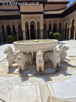 [P35] Alhambra - Palatul Nazrid - bazinul fântânii susținut de cei doisprezece lei » foto by ANILU
 - 
<span class="allrVoted glyphicon glyphicon-heart hidden" id="av1488865"></span>
<a class="m-l-10 hidden" id="sv1488865" onclick="voting_Foto_DelVot(,1488865,7020)" role="button">șterge vot <span class="glyphicon glyphicon-remove"></span></a>
<a id="v91488865" class=" c-red"  onclick="voting_Foto_SetVot(1488865)" role="button"><span class="glyphicon glyphicon-heart-empty"></span> <b>LIKE</b> = Votează poza</a> <img class="hidden"  id="f1488865W9" src="/imagini/loader.gif" border="0" /><span class="AjErrMes hidden" id="e1488865ErM"></span>