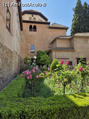 [P42] Alhambra - prin grădina palatului » foto by ANILU
 - 
<span class="allrVoted glyphicon glyphicon-heart hidden" id="av1488872"></span>
<a class="m-l-10 hidden" id="sv1488872" onclick="voting_Foto_DelVot(,1488872,7020)" role="button">șterge vot <span class="glyphicon glyphicon-remove"></span></a>
<a id="v91488872" class=" c-red"  onclick="voting_Foto_SetVot(1488872)" role="button"><span class="glyphicon glyphicon-heart-empty"></span> <b>LIKE</b> = Votează poza</a> <img class="hidden"  id="f1488872W9" src="/imagini/loader.gif" border="0" /><span class="AjErrMes hidden" id="e1488872ErM"></span>
