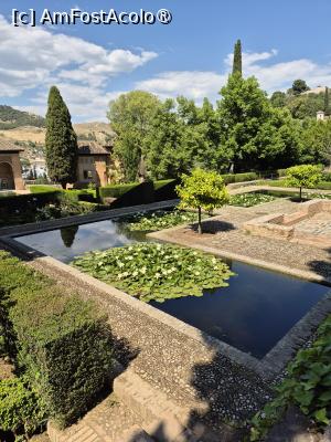 [P43] Alhambra - prin grădina palatului » foto by ANILU
 - 
<span class="allrVoted glyphicon glyphicon-heart hidden" id="av1488873"></span>
<a class="m-l-10 hidden" id="sv1488873" onclick="voting_Foto_DelVot(,1488873,7020)" role="button">șterge vot <span class="glyphicon glyphicon-remove"></span></a>
<a id="v91488873" class=" c-red"  onclick="voting_Foto_SetVot(1488873)" role="button"><span class="glyphicon glyphicon-heart-empty"></span> <b>LIKE</b> = Votează poza</a> <img class="hidden"  id="f1488873W9" src="/imagini/loader.gif" border="0" /><span class="AjErrMes hidden" id="e1488873ErM"></span>