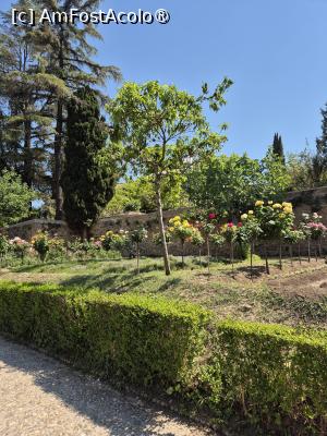 [P47] Alhambra - prin grădina palatului » foto by ANILU
 - 
<span class="allrVoted glyphicon glyphicon-heart hidden" id="av1488877"></span>
<a class="m-l-10 hidden" id="sv1488877" onclick="voting_Foto_DelVot(,1488877,7020)" role="button">șterge vot <span class="glyphicon glyphicon-remove"></span></a>
<a id="v91488877" class=" c-red"  onclick="voting_Foto_SetVot(1488877)" role="button"><span class="glyphicon glyphicon-heart-empty"></span> <b>LIKE</b> = Votează poza</a> <img class="hidden"  id="f1488877W9" src="/imagini/loader.gif" border="0" /><span class="AjErrMes hidden" id="e1488877ErM"></span>
