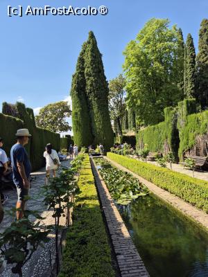 [P53] Alhambra - prin Generalife » foto by ANILU
 - 
<span class="allrVoted glyphicon glyphicon-heart hidden" id="av1488883"></span>
<a class="m-l-10 hidden" id="sv1488883" onclick="voting_Foto_DelVot(,1488883,7020)" role="button">șterge vot <span class="glyphicon glyphicon-remove"></span></a>
<a id="v91488883" class=" c-red"  onclick="voting_Foto_SetVot(1488883)" role="button"><span class="glyphicon glyphicon-heart-empty"></span> <b>LIKE</b> = Votează poza</a> <img class="hidden"  id="f1488883W9" src="/imagini/loader.gif" border="0" /><span class="AjErrMes hidden" id="e1488883ErM"></span>