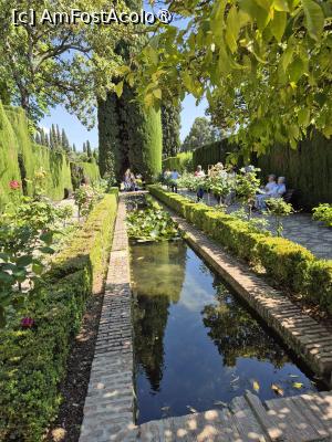 [P54] Alhambra - prin Generalife » foto by ANILU
 - 
<span class="allrVoted glyphicon glyphicon-heart hidden" id="av1488884"></span>
<a class="m-l-10 hidden" id="sv1488884" onclick="voting_Foto_DelVot(,1488884,7020)" role="button">șterge vot <span class="glyphicon glyphicon-remove"></span></a>
<a id="v91488884" class=" c-red"  onclick="voting_Foto_SetVot(1488884)" role="button"><span class="glyphicon glyphicon-heart-empty"></span> <b>LIKE</b> = Votează poza</a> <img class="hidden"  id="f1488884W9" src="/imagini/loader.gif" border="0" /><span class="AjErrMes hidden" id="e1488884ErM"></span>