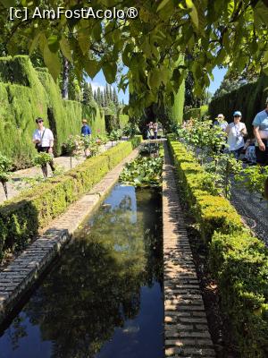 [P55] Alhambra - prin Generalife » foto by ANILU
 - 
<span class="allrVoted glyphicon glyphicon-heart hidden" id="av1488885"></span>
<a class="m-l-10 hidden" id="sv1488885" onclick="voting_Foto_DelVot(,1488885,7020)" role="button">șterge vot <span class="glyphicon glyphicon-remove"></span></a>
<a id="v91488885" class=" c-red"  onclick="voting_Foto_SetVot(1488885)" role="button"><span class="glyphicon glyphicon-heart-empty"></span> <b>LIKE</b> = Votează poza</a> <img class="hidden"  id="f1488885W9" src="/imagini/loader.gif" border="0" /><span class="AjErrMes hidden" id="e1488885ErM"></span>