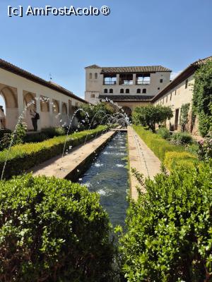 [P56] Alhambra - curtea Palatului de vară » foto by ANILU
 - 
<span class="allrVoted glyphicon glyphicon-heart hidden" id="av1488886"></span>
<a class="m-l-10 hidden" id="sv1488886" onclick="voting_Foto_DelVot(,1488886,7020)" role="button">șterge vot <span class="glyphicon glyphicon-remove"></span></a>
<a id="v91488886" class=" c-red"  onclick="voting_Foto_SetVot(1488886)" role="button"><span class="glyphicon glyphicon-heart-empty"></span> <b>LIKE</b> = Votează poza</a> <img class="hidden"  id="f1488886W9" src="/imagini/loader.gif" border="0" /><span class="AjErrMes hidden" id="e1488886ErM"></span>