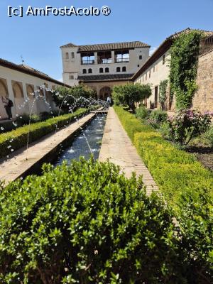 [P57] Alhambra - curtea Palatului de vară » foto by ANILU
 - 
<span class="allrVoted glyphicon glyphicon-heart hidden" id="av1488887"></span>
<a class="m-l-10 hidden" id="sv1488887" onclick="voting_Foto_DelVot(,1488887,7020)" role="button">șterge vot <span class="glyphicon glyphicon-remove"></span></a>
<a id="v91488887" class=" c-red"  onclick="voting_Foto_SetVot(1488887)" role="button"><span class="glyphicon glyphicon-heart-empty"></span> <b>LIKE</b> = Votează poza</a> <img class="hidden"  id="f1488887W9" src="/imagini/loader.gif" border="0" /><span class="AjErrMes hidden" id="e1488887ErM"></span>