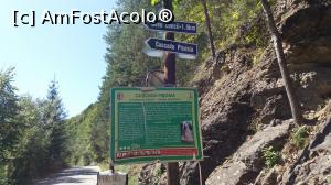 [P14] Indicatorul către Cascada Pișoaia » foto by costy69*
 - 
<span class="allrVoted glyphicon glyphicon-heart hidden" id="av910108"></span>
<a class="m-l-10 hidden" id="sv910108" onclick="voting_Foto_DelVot(,910108,7135)" role="button">șterge vot <span class="glyphicon glyphicon-remove"></span></a>
<a id="v9910108" class=" c-red"  onclick="voting_Foto_SetVot(910108)" role="button"><span class="glyphicon glyphicon-heart-empty"></span> <b>LIKE</b> = Votează poza</a> <img class="hidden"  id="f910108W9" src="/imagini/loader.gif" border="0" /><span class="AjErrMes hidden" id="e910108ErM"></span>