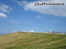 [P42] Transalpina august 2011 » foto by ionescunic
 - 
<span class="allrVoted glyphicon glyphicon-heart hidden" id="av295669"></span>
<a class="m-l-10 hidden" id="sv295669" onclick="voting_Foto_DelVot(,295669,7149)" role="button">șterge vot <span class="glyphicon glyphicon-remove"></span></a>
<a id="v9295669" class=" c-red"  onclick="voting_Foto_SetVot(295669)" role="button"><span class="glyphicon glyphicon-heart-empty"></span> <b>LIKE</b> = Votează poza</a> <img class="hidden"  id="f295669W9" src="/imagini/loader.gif" border="0" /><span class="AjErrMes hidden" id="e295669ErM"></span>