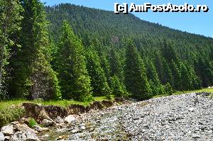 [P103] Transalpina acum, în multe imagini și puține cuvinte - În albia Lotrului » foto by Lyssys
 - 
<span class="allrVoted glyphicon glyphicon-heart hidden" id="av636596"></span>
<a class="m-l-10 hidden" id="sv636596" onclick="voting_Foto_DelVot(,636596,7149)" role="button">șterge vot <span class="glyphicon glyphicon-remove"></span></a>
<a id="v9636596" class=" c-red"  onclick="voting_Foto_SetVot(636596)" role="button"><span class="glyphicon glyphicon-heart-empty"></span> <b>LIKE</b> = Votează poza</a> <img class="hidden"  id="f636596W9" src="/imagini/loader.gif" border="0" /><span class="AjErrMes hidden" id="e636596ErM"></span>