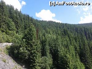 [P117] Transalpina acum, în multe imagini și puține cuvinte - La întoarcere, la ieșirea de pe Barajul Oașa » foto by Lyssys
 - 
<span class="allrVoted glyphicon glyphicon-heart hidden" id="av636610"></span>
<a class="m-l-10 hidden" id="sv636610" onclick="voting_Foto_DelVot(,636610,7149)" role="button">șterge vot <span class="glyphicon glyphicon-remove"></span></a>
<a id="v9636610" class=" c-red"  onclick="voting_Foto_SetVot(636610)" role="button"><span class="glyphicon glyphicon-heart-empty"></span> <b>LIKE</b> = Votează poza</a> <img class="hidden"  id="f636610W9" src="/imagini/loader.gif" border="0" /><span class="AjErrMes hidden" id="e636610ErM"></span>