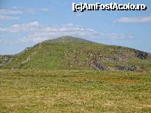 [P42] Transalpina cu pajiștile ei alpine, bântuite doar de vânturi și turmele de oi » foto by mariana.olaru
 - 
<span class="allrVoted glyphicon glyphicon-heart hidden" id="av228931"></span>
<a class="m-l-10 hidden" id="sv228931" onclick="voting_Foto_DelVot(,228931,7149)" role="button">șterge vot <span class="glyphicon glyphicon-remove"></span></a>
<a id="v9228931" class=" c-red"  onclick="voting_Foto_SetVot(228931)" role="button"><span class="glyphicon glyphicon-heart-empty"></span> <b>LIKE</b> = Votează poza</a> <img class="hidden"  id="f228931W9" src="/imagini/loader.gif" border="0" /><span class="AjErrMes hidden" id="e228931ErM"></span>