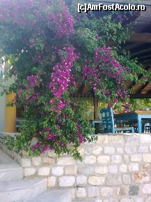 [P131] Detaliu tavernă... » foto by Aeerdna*
 - 
<span class="allrVoted glyphicon glyphicon-heart hidden" id="av217261"></span>
<a class="m-l-10 hidden" id="sv217261" onclick="voting_Foto_DelVot(,217261,7150)" role="button">șterge vot <span class="glyphicon glyphicon-remove"></span></a>
<a id="v9217261" class=" c-red"  onclick="voting_Foto_SetVot(217261)" role="button"><span class="glyphicon glyphicon-heart-empty"></span> <b>LIKE</b> = Votează poza</a> <img class="hidden"  id="f217261W9" src="/imagini/loader.gif" border="0" /><span class="AjErrMes hidden" id="e217261ErM"></span>