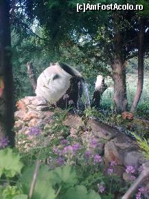 [P184] Detaliu... » foto by Aeerdna*
 - 
<span class="allrVoted glyphicon glyphicon-heart hidden" id="av217397"></span>
<a class="m-l-10 hidden" id="sv217397" onclick="voting_Foto_DelVot(,217397,7150)" role="button">șterge vot <span class="glyphicon glyphicon-remove"></span></a>
<a id="v9217397" class=" c-red"  onclick="voting_Foto_SetVot(217397)" role="button"><span class="glyphicon glyphicon-heart-empty"></span> <b>LIKE</b> = Votează poza</a> <img class="hidden"  id="f217397W9" src="/imagini/loader.gif" border="0" /><span class="AjErrMes hidden" id="e217397ErM"></span>