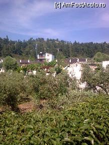 [P22] Aici sunt maisonettele...Nu au voie decât locatarii de drept ... dar e numai o declaraţie de intenţii!...Se observăîn stânga, o parte din plantaţia de maslini » foto by Aeerdna*
 - 
<span class="allrVoted glyphicon glyphicon-heart hidden" id="av216937"></span>
<a class="m-l-10 hidden" id="sv216937" onclick="voting_Foto_DelVot(,216937,7150)" role="button">șterge vot <span class="glyphicon glyphicon-remove"></span></a>
<a id="v9216937" class=" c-red"  onclick="voting_Foto_SetVot(216937)" role="button"><span class="glyphicon glyphicon-heart-empty"></span> <b>LIKE</b> = Votează poza</a> <img class="hidden"  id="f216937W9" src="/imagini/loader.gif" border="0" /><span class="AjErrMes hidden" id="e216937ErM"></span>
