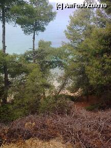 [P318] Pemalul marii,la inaltime, pe aleea de la Athena spre Anthemus Sea... » foto by Aeerdna*
 - 
<span class="allrVoted glyphicon glyphicon-heart hidden" id="av217622"></span>
<a class="m-l-10 hidden" id="sv217622" onclick="voting_Foto_DelVot(,217622,7150)" role="button">șterge vot <span class="glyphicon glyphicon-remove"></span></a>
<a id="v9217622" class=" c-red"  onclick="voting_Foto_SetVot(217622)" role="button"><span class="glyphicon glyphicon-heart-empty"></span> <b>LIKE</b> = Votează poza</a> <img class="hidden"  id="f217622W9" src="/imagini/loader.gif" border="0" /><span class="AjErrMes hidden" id="e217622ErM"></span>