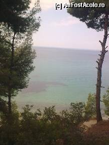 [P320]  -- <small>// FĂRĂ DESCRIERE</small> » foto by Aeerdna*
 - 
<span class="allrVoted glyphicon glyphicon-heart hidden" id="av217625"></span>
<a class="m-l-10 hidden" id="sv217625" onclick="voting_Foto_DelVot(,217625,7150)" role="button">șterge vot <span class="glyphicon glyphicon-remove"></span></a>
<a id="v9217625" class=" c-red"  onclick="voting_Foto_SetVot(217625)" role="button"><span class="glyphicon glyphicon-heart-empty"></span> <b>LIKE</b> = Votează poza</a> <img class="hidden"  id="f217625W9" src="/imagini/loader.gif" border="0" /><span class="AjErrMes hidden" id="e217625ErM"></span>